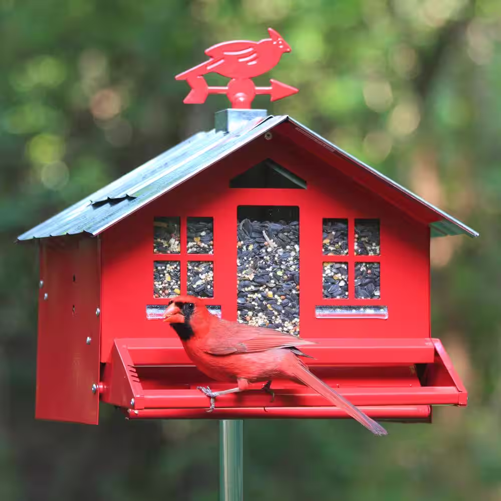 Perky-Pet Squirrel-Be-Gone II Country StyleÂ Squirrel Resistant Metal WildÂ Bird Feeder - 8 lb. Capacity
