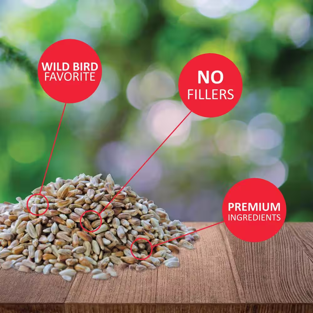Lyric 12 lbs. Golden Safflower Wild Bird Seed
