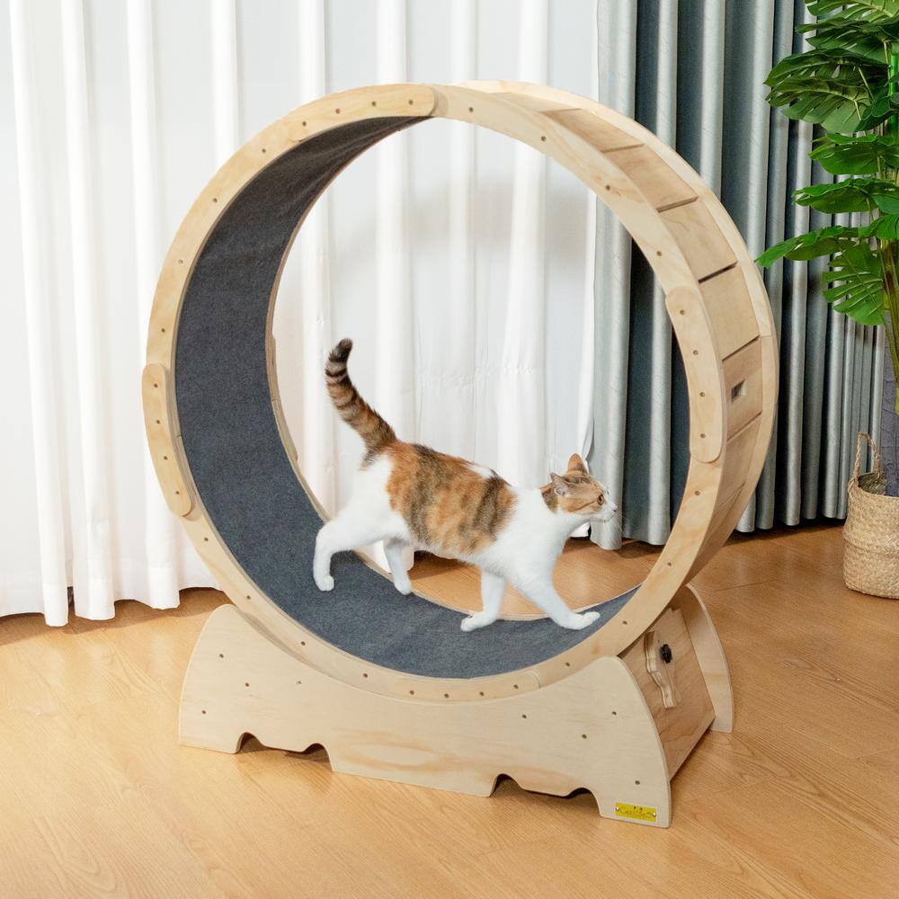 COZIWOW Large Cat Exercise Wheel, Treadmill