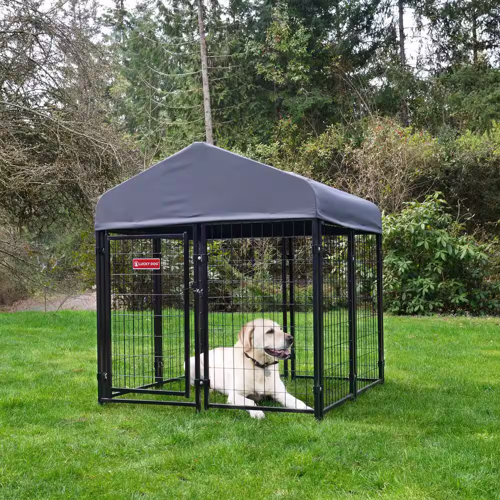 Lucky Dog STAY Series Steel Grey Studio Jr.Kennel (4 ft. x 4 ft. x 4 ft.)