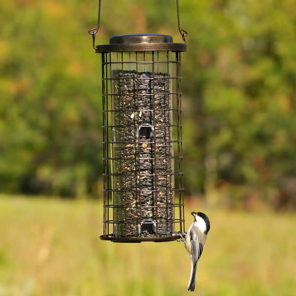 Perky-Pet Tan Squirrel Stumper SquirrelÂ Resistant Metal WildÂ Bird Feeder - 3 lb. Capacity